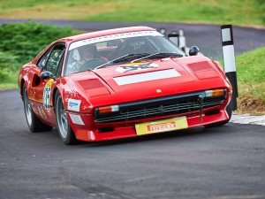 135 - Leonard Watson driving a Ferrari 308GTB